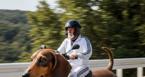 Dog-shaped Electric Scooters: Must-Have for Pet Lovers on the Go Dog-shaped Electric Scooters